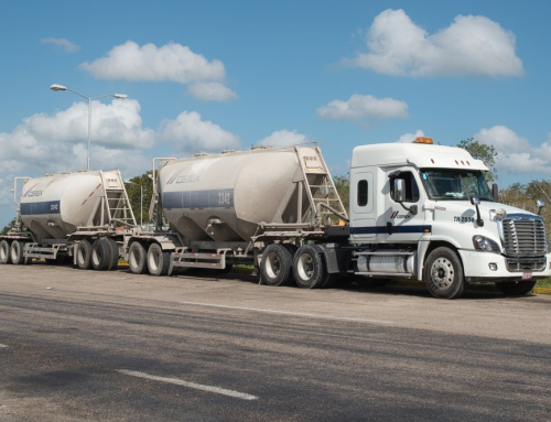 What Industries Depend Most on Pneumatic Powder Transport and Why